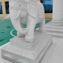 朔州 白麻花岗岩动物异形石雕-大象