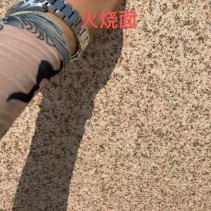 朔州黄金麻火烧面