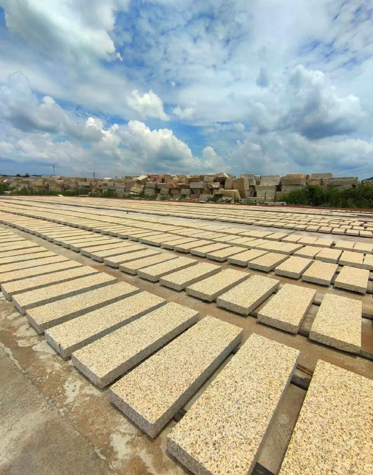朔州 黄金麻荔枝面花岗岩石材地铺石防护中
