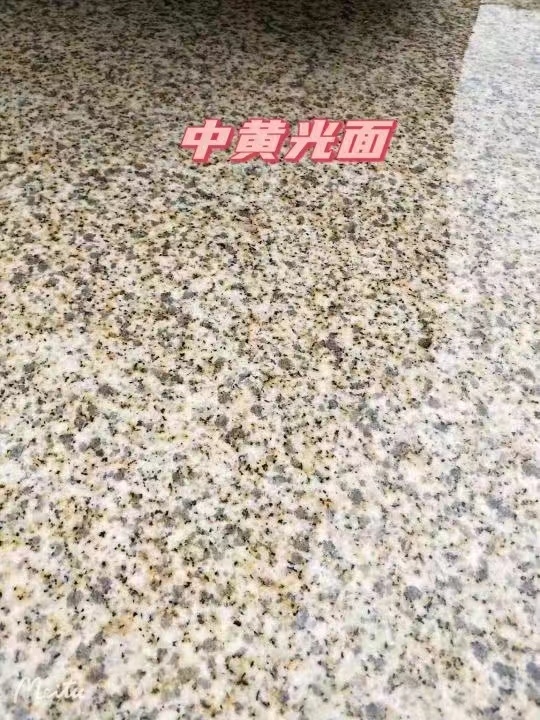 朔州黄金麻中黄光面
