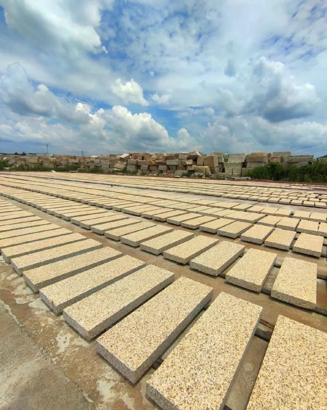 朔州 黄金麻花岗岩荔枝面地铺石防护中